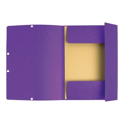 3130630555087-Exacompta Nature Future - Chemise à 3 rabats - A4 - pour 250 feuilles - violet-Avant-1