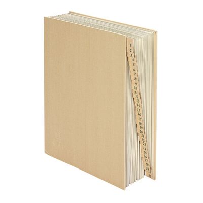 3068597431178-Extendos - Trieur numérique 31 positions - kraft--0