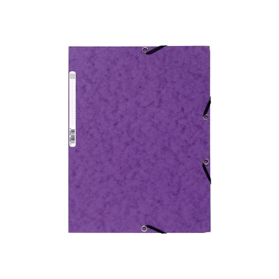 3130630555087-Exacompta Nature Future - Chemise à 3 rabats - A4 - pour 250 feuilles - violet-Avant-0