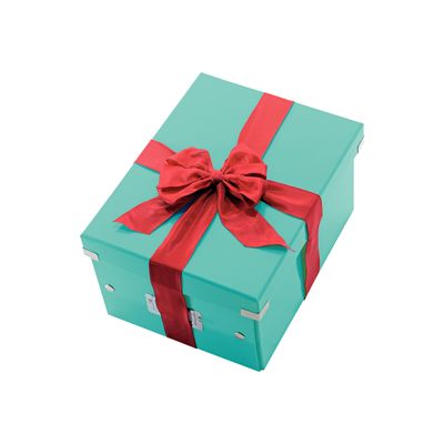4002432103799-Leitz Click & Store - Boîte de rangement A4 - bleu iceberg-Angle droit-0