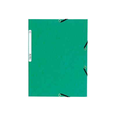 3130632553036-Exacompta Nature Future - 10 Chemises à 3 rabats - A4 - pour 250 feuilles - vert-Avant-0