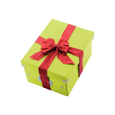 4002432398133-Leitz Click & Store - Boîte de rangement- A4 - vert métallisé-Angle droit-0