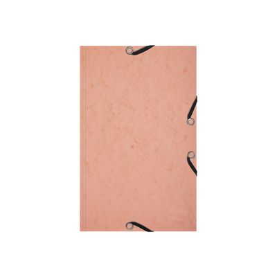 3130630555773-Exacompta Aquarel - Chemise à rabats + 25 fiches bristol 12,5x20 cm (4 couleurs assorties)-Avant-2