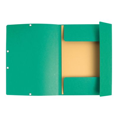 3130632553036-Exacompta Nature Future - 10 Chemises à 3 rabats - A4 - pour 250 feuilles - vert-Avant-1