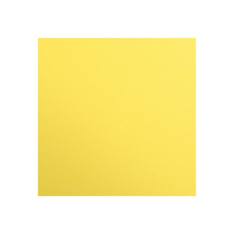 3329681972541-Clairefontaine Maya - Papier à dessin - 50 x 70 cm - 25 feuilles - 270 g/m² - citron-P_97254_1-0