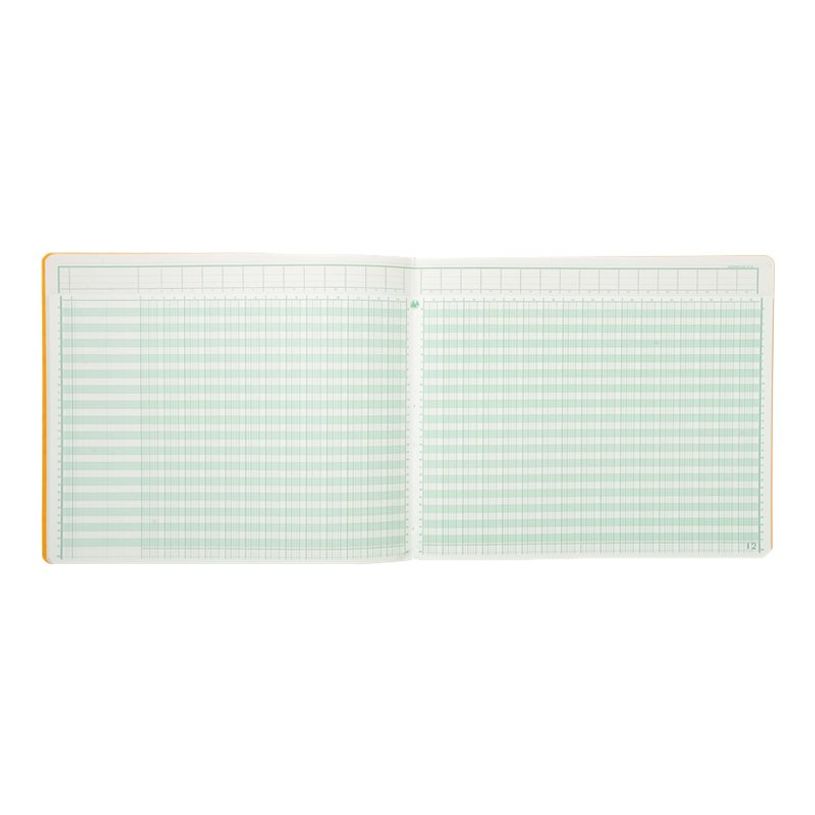 3130632163006-Exacompta - Piqûre tête paresseuse - 30 colonnes sur 2 pages - 27 x 32 cm-P_2816300_2-0