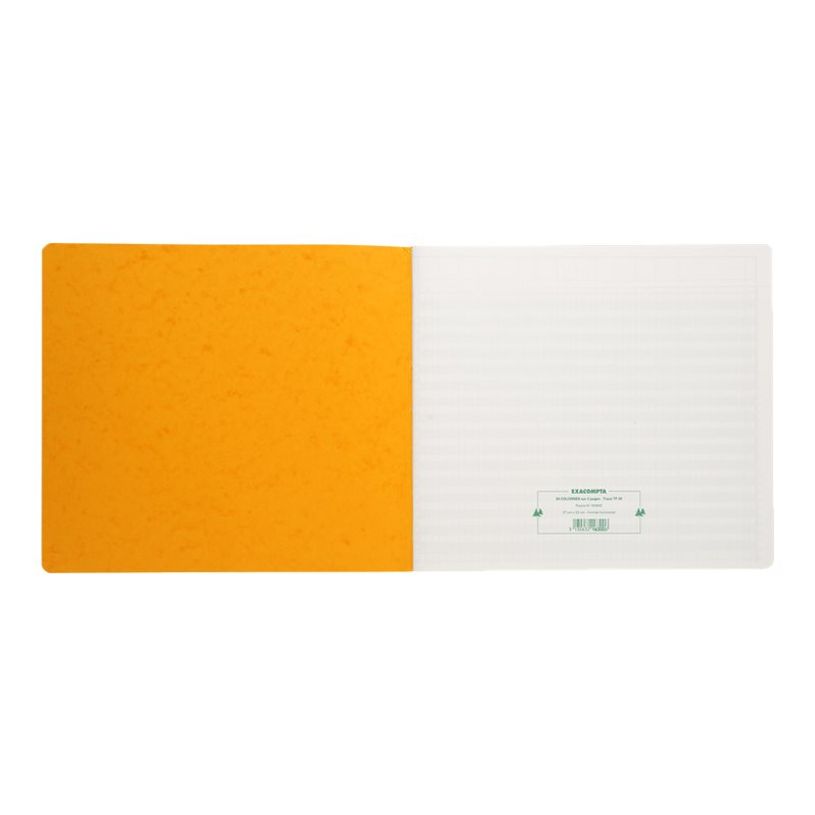 3130632163006-Exacompta - Piqûre tête paresseuse - 30 colonnes sur 2 pages - 27 x 32 cm-P_2816300_7-5