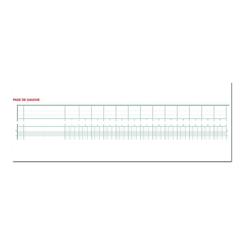 3130632163006-Exacompta - Piqûre tête paresseuse - 30 colonnes sur 2 pages - 27 x 32 cm-P_2816300_8-6
