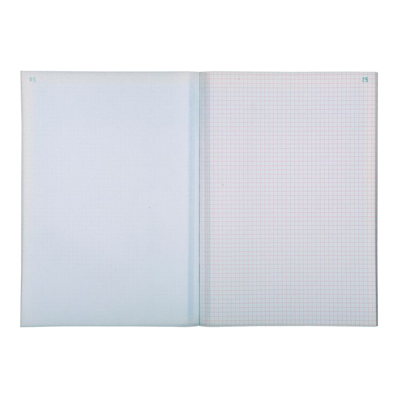 3130630033004-Exacompta - Manifold quadrillé 5x5 - 50 dupli - A4-P_283300_3-2