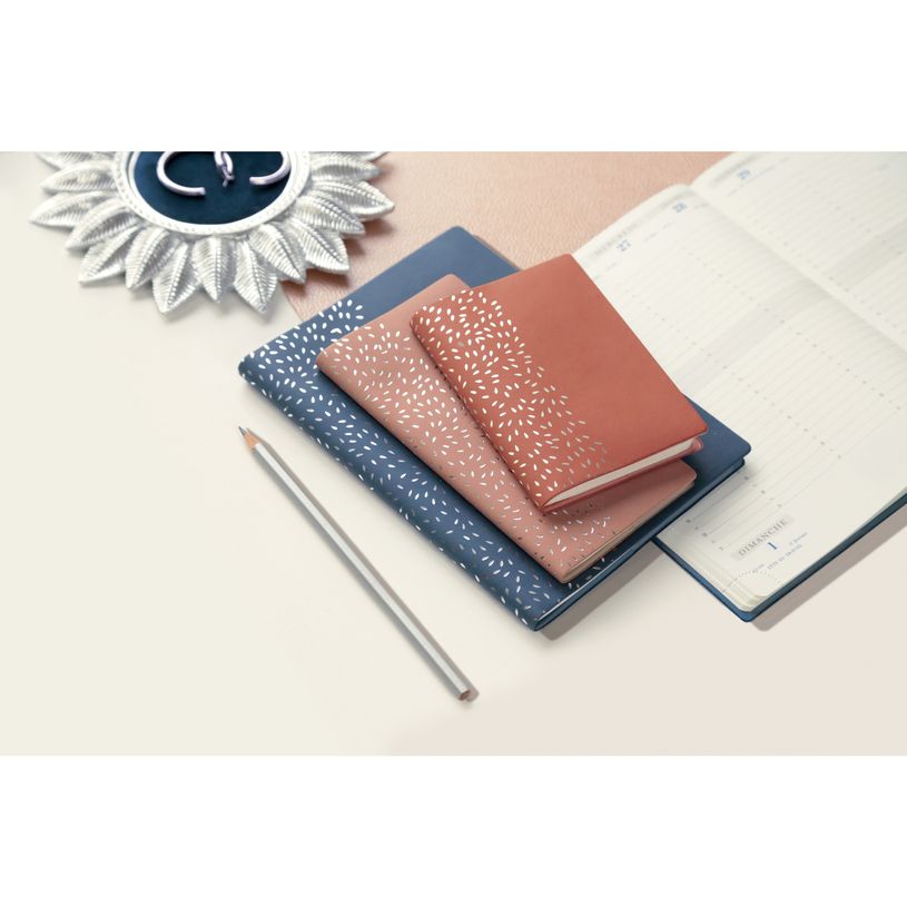 3660942069076-Agenda de poche Amélie - 1 jour par page - 8,5 x 13 cm - disponible dans différentes cou-P_400000734_4-3