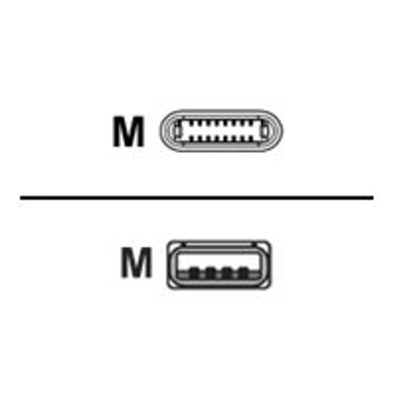 3571211433583-Bigben - câble de charge et de synchronisation USB/Connectique Lightning - 1m - blanc-P_400001650_1-2