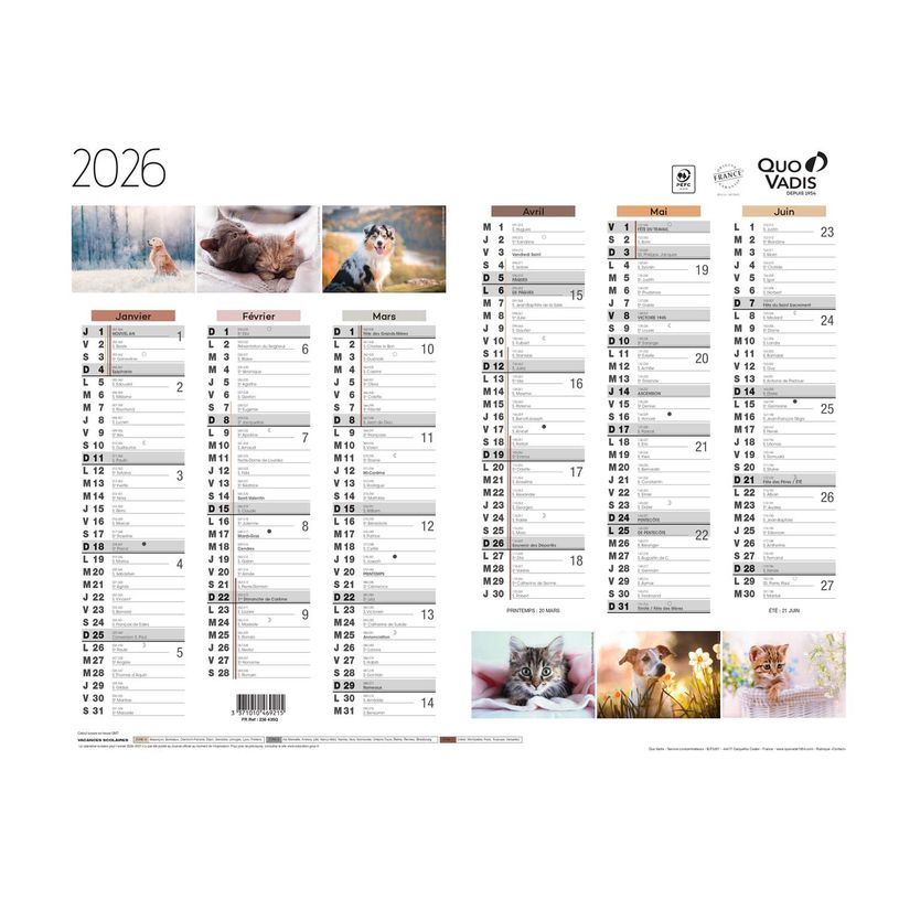 3371010469215-Quo Vadis - Calendrier Fantaisie 6 mois par face - 27 x 21 cm - animaux--0