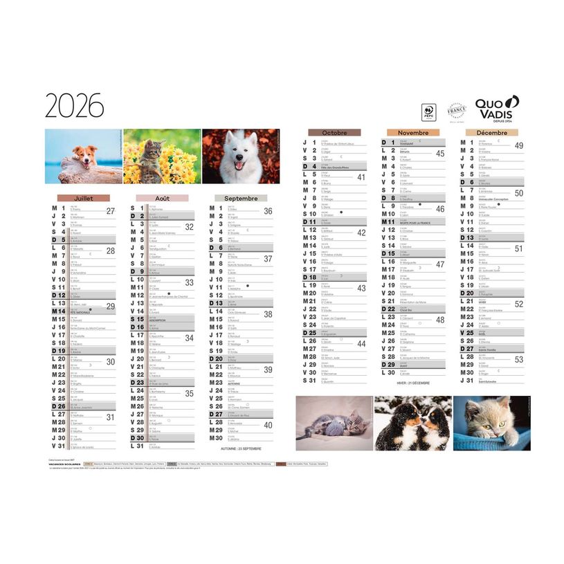 3371010469215-Quo Vadis - Calendrier Fantaisie 6 mois par face - 27 x 21 cm - animaux--1