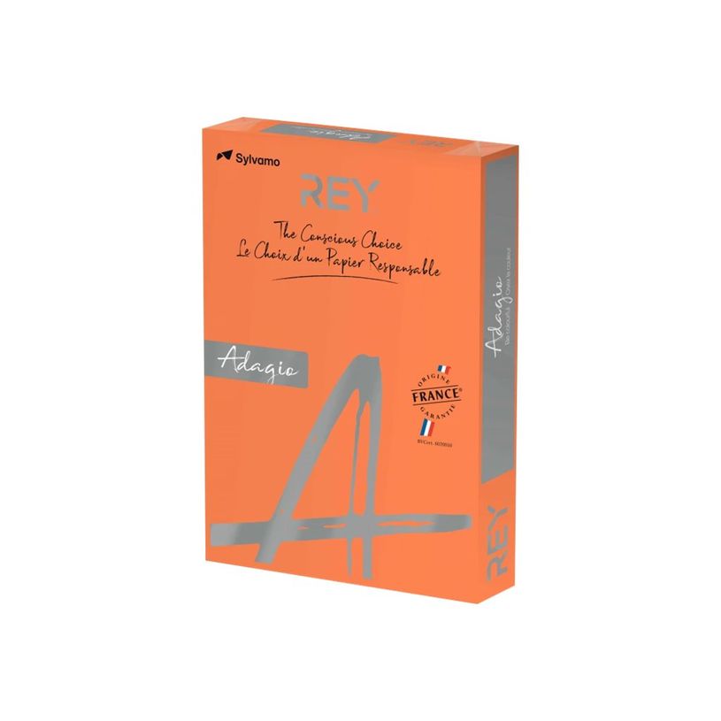 3141728711476-Rey Adagio - Papier couleur - A3 (297 x 420 mm) - 120 g/m² - Ramette de 250 feuilles - or-P_405137805_1-0