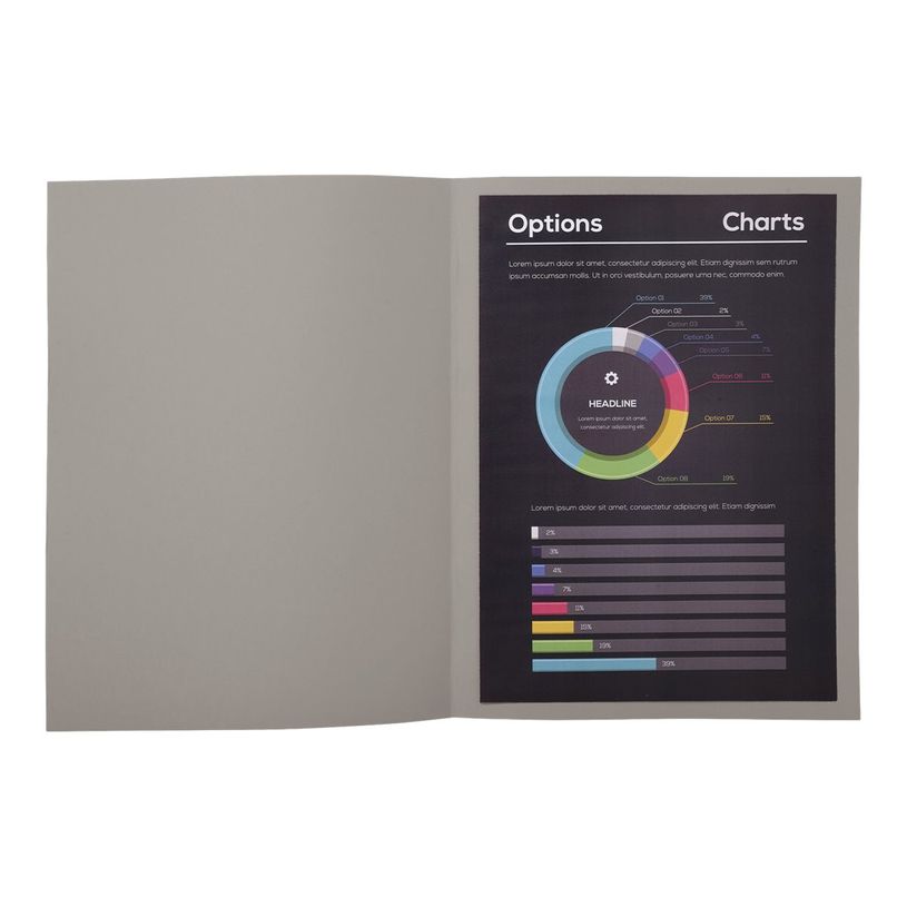 3288582100098-Exacompta Rock"s - 100 Chemises - 210 gr - Pour 200 feuilles - gris-P_405145684_5-3