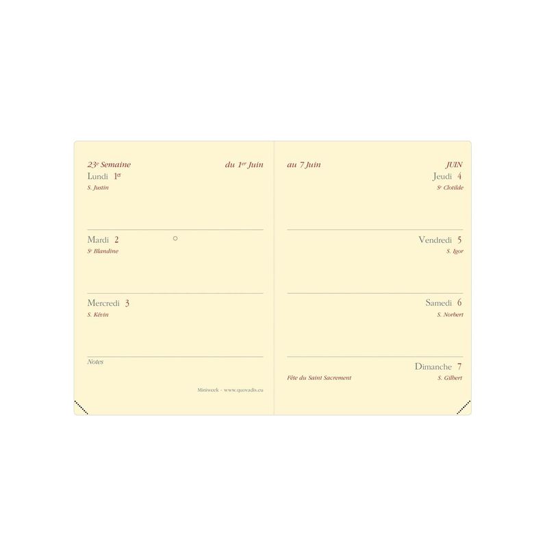 3371010480173-Agenda de poche Impala Miniweek - 1 semaine sur 2 pages - 7 x 10 cm - bleu prusse - Quo Vadis--1