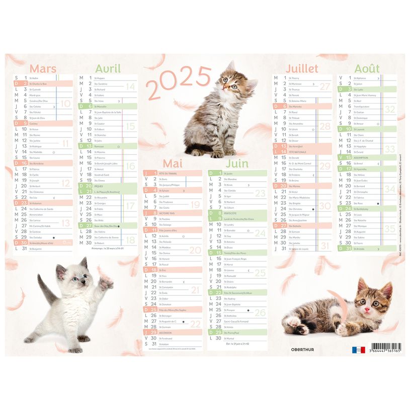 3664447165172-Calendrier Chaton - 6 mois par face - 40,5 x 55 cm - Oberthur-P_405161979_2-1