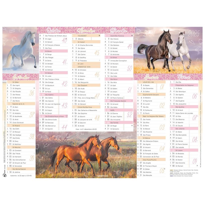 3664447165189-Calendrier Cheval - 6 mois par face - 21 x 26,5 cm - Oberthur-P_405161980_1-0