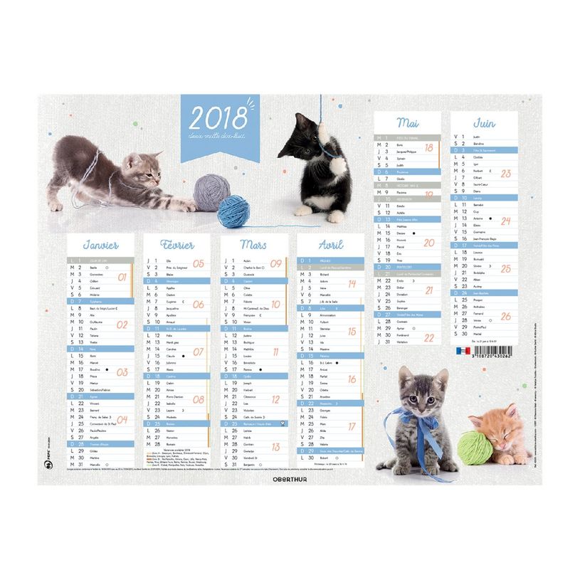 3664447193397-Oberthur - Calendrier Chatons - 6 mois par page - 270 x 210 mm - daté-P_405232731_1-1