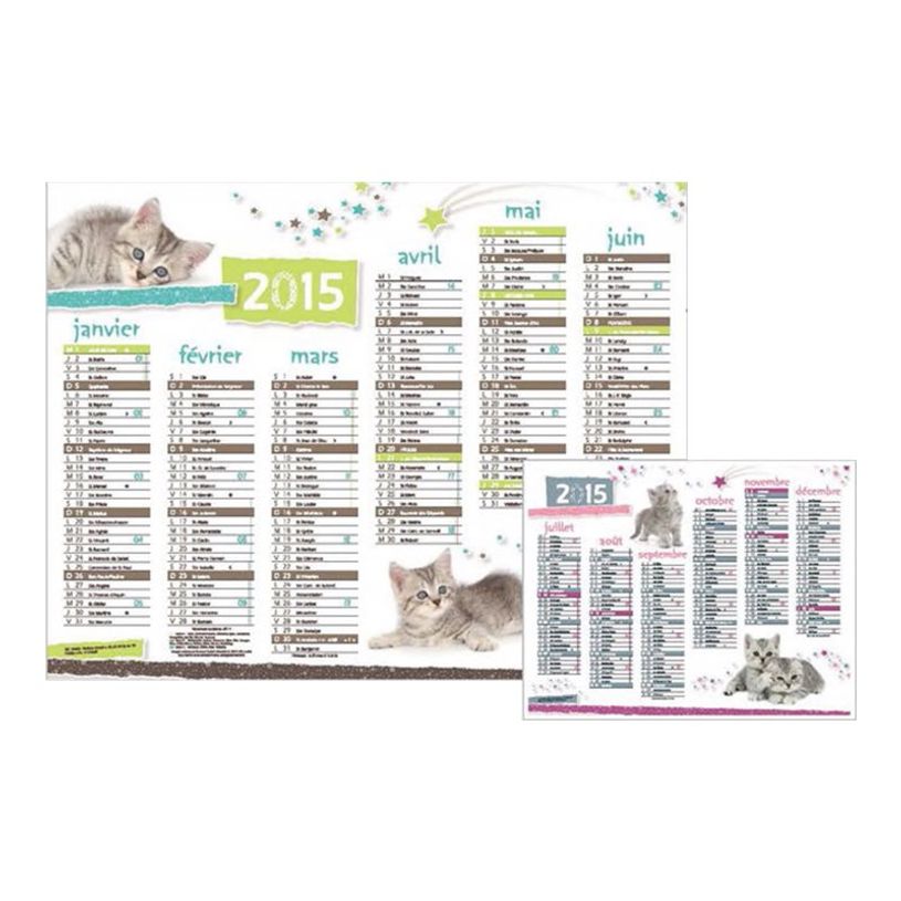 3664447193397-Oberthur - Calendrier Chatons - 6 mois par page - 270 x 210 mm - daté-P_405232731_2-0