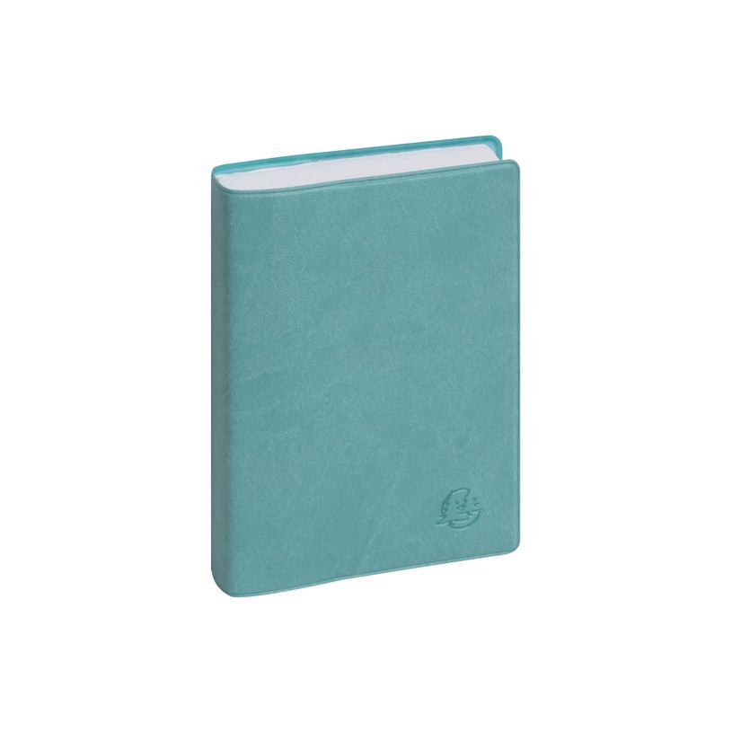 3660942088046-Exacompta Ondine EasyDay 15 - Journal quotidien - 2026 - 1 jour par page - 100 x 150 mm - papier blanc - couv-P_405244352_2-3