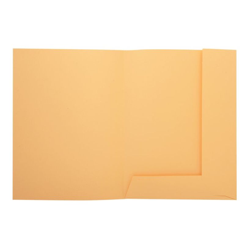 3288583350027-Exacompta Nature Future Jura 250 - Chemise à 2 rabats - pour A4 - capacité : 200 feuille-P_405247315_1-2