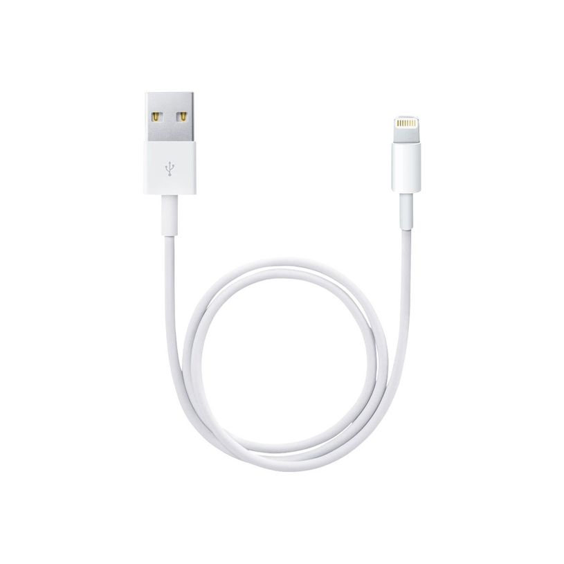 885909707973-Apple - Câble Lightning - Lightning mâle pour USB mâle - 50 cm-P_405251371_2-3