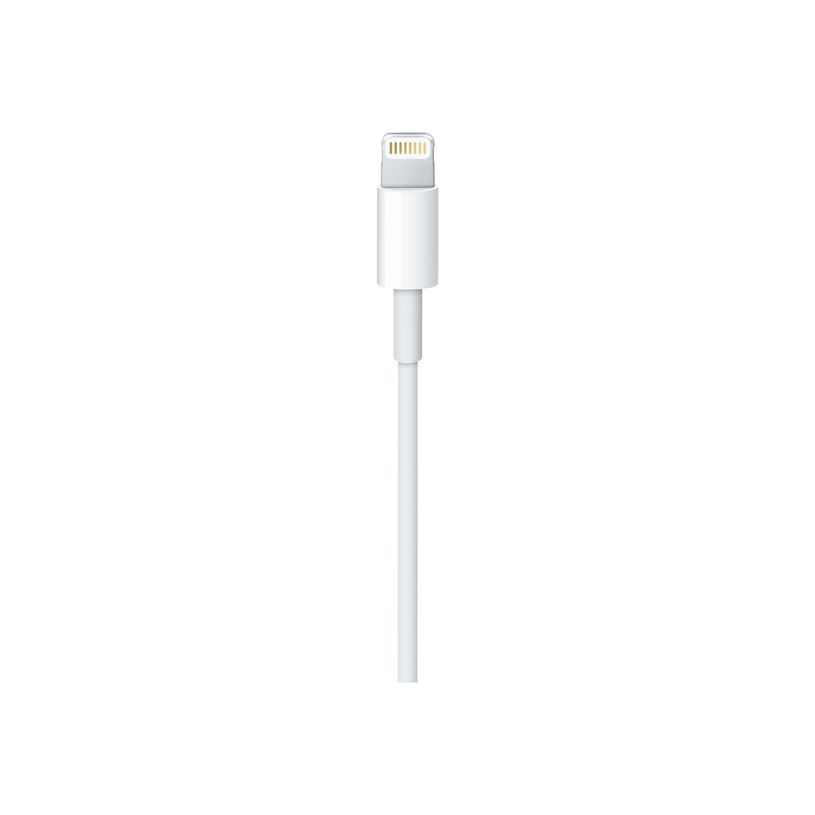 885909707973-Apple - Câble Lightning - Lightning mâle pour USB mâle - 50 cm-P_405251371_3-0
