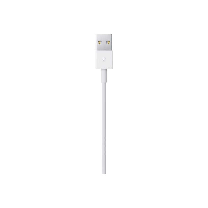 885909707973-Apple - Câble Lightning - Lightning mâle pour USB mâle - 50 cm-P_405251371_5-1