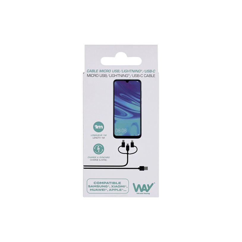 3303170112052-T'nB - Câble Lightning - USB mâle pour Micro-USB de type B, Lightning, 24 pin USB-C mâl-P_405256061_4-3