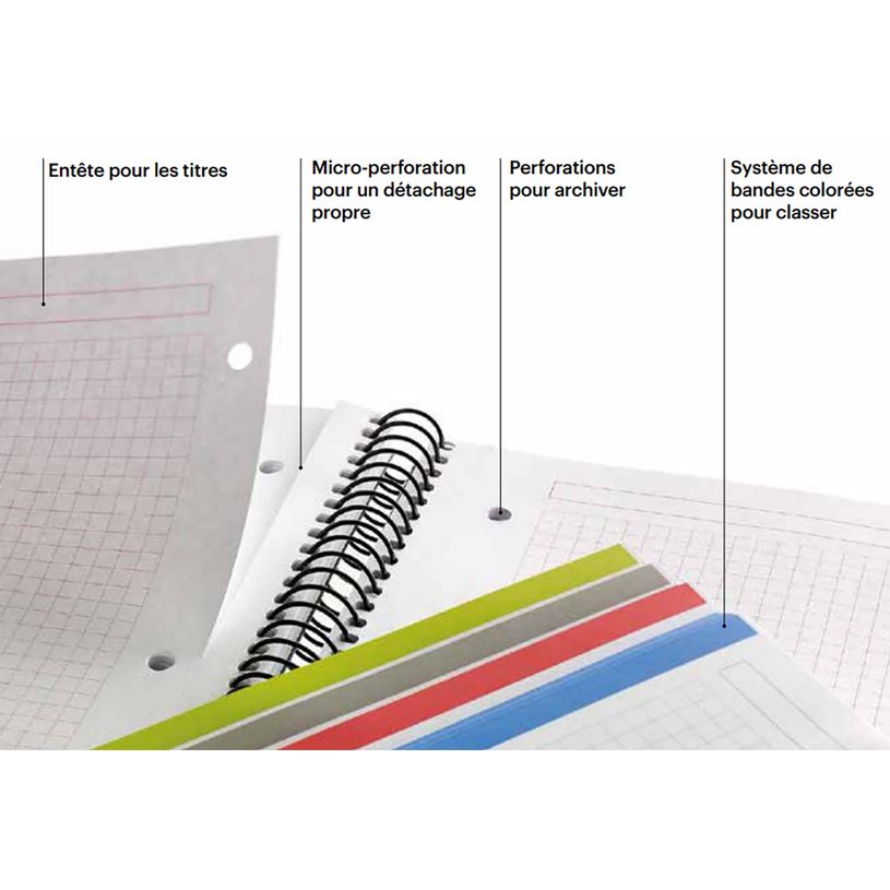 8422593479018-THE ORIGINAL NOTEBOOK, couverture souple, A4, quadrillage 5x5 mm + lisse , 120 feuilles de 2 couleurs, --8