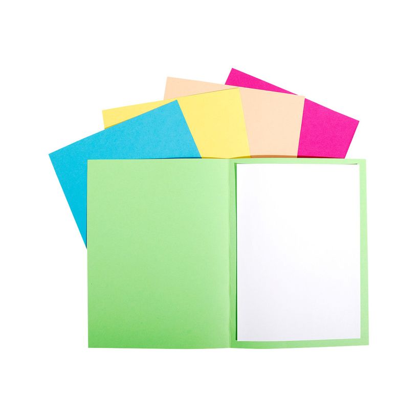 2012346205207-Exacompta Forever Foldyne - 100 Chemises - 170 gr - couleurs assorties-P_79346056_1-0