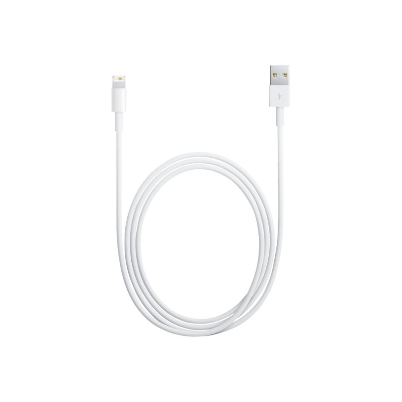 885909627424-Apple câble Lightning - Lightning / USB - 1 m-P_79373245_1-0