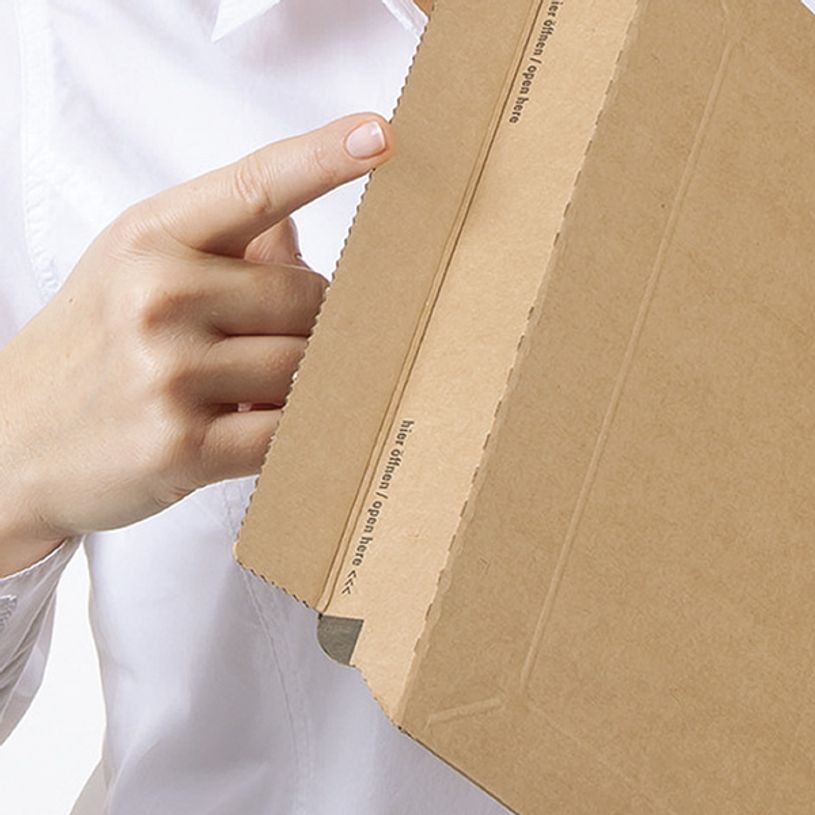4033657100102-Pochette d'expédition adhésive - 15 cm x 25 cm - kraft - Logistipack-P_79425899_3-2